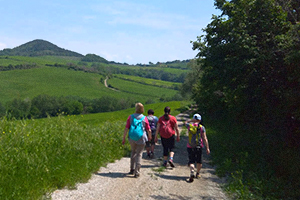 Farm hike